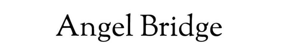 Angel Bridge Inc.
